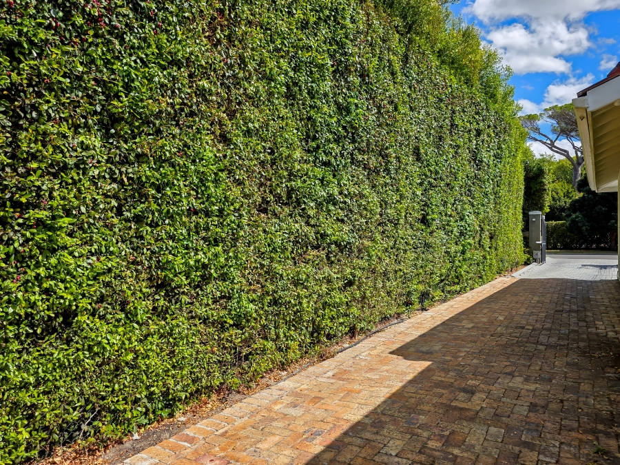 2 Bedroom Property for Sale in Belle Constantia Western Cape